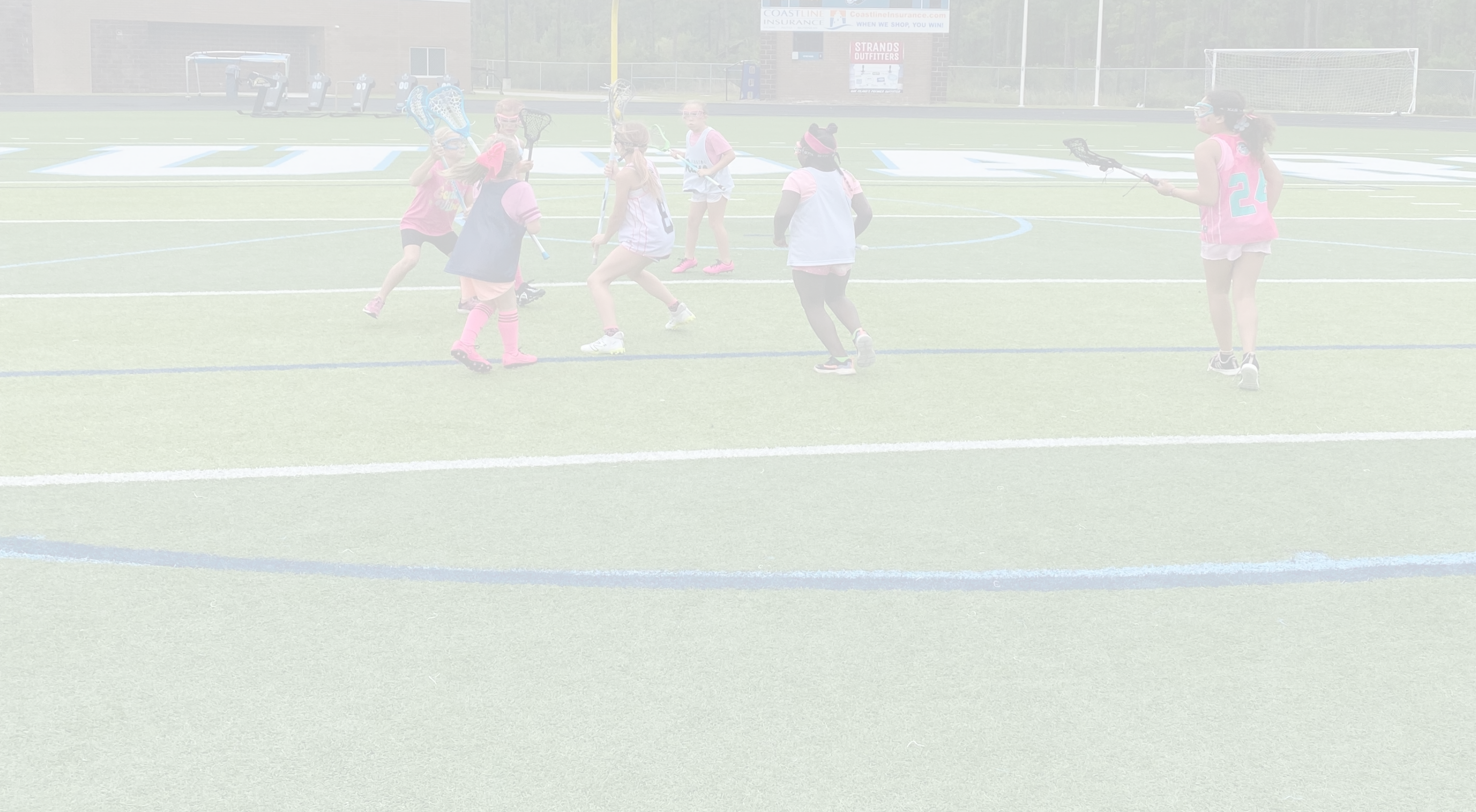 Developmental Background